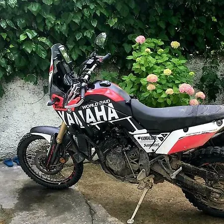 Maison d'hôtes The Fir Gate Gjirokastër