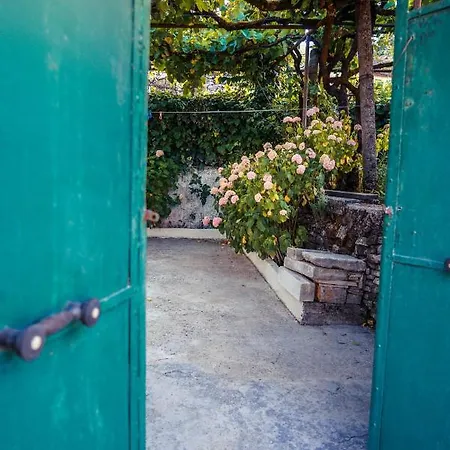 The Fir Gate Penzion