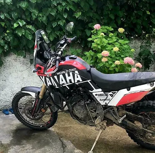 Vendégház The Fir Gate Gjirokastra