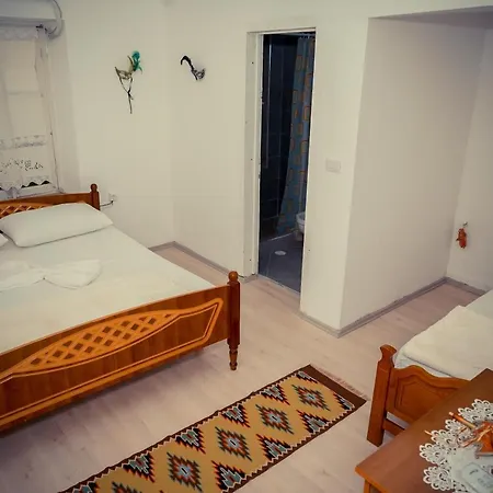 The Fir Gate 招待所 Gjirokastër