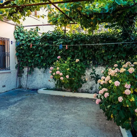 The Fir Gate Guest house Gjirokaster