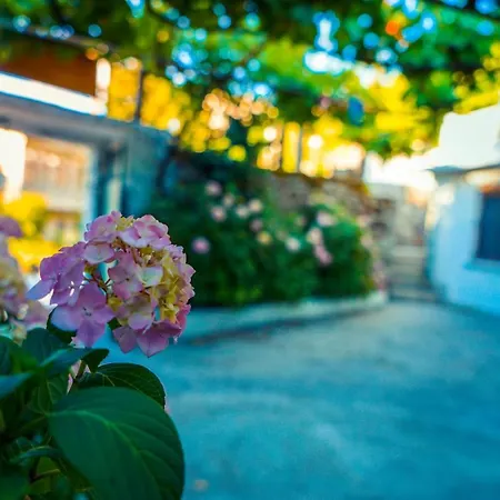 Guest house The Fir Gate *