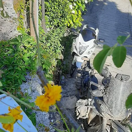 The Fir Gate 招待所 Gjirokastër