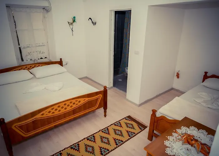 The Fir Gate Guest house Gjirokaster