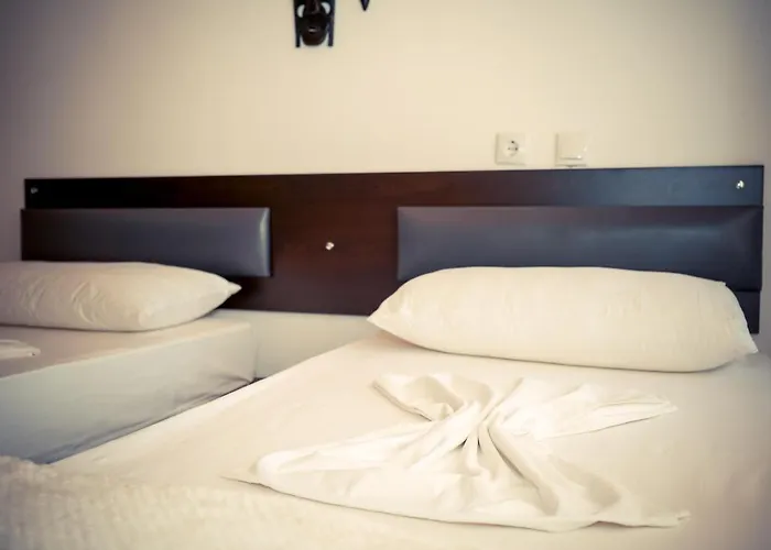 Guest house The Fir Gate Gjirokaster